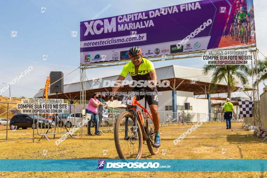 XCM Capital da Uva Fina Marialva 2021