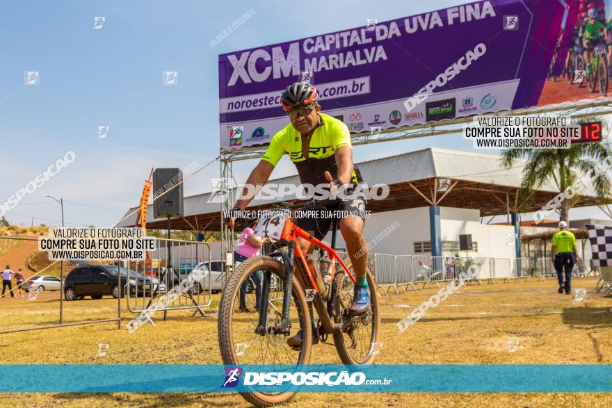 XCM Capital da Uva Fina Marialva 2021