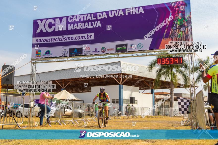 XCM Capital da Uva Fina Marialva 2021