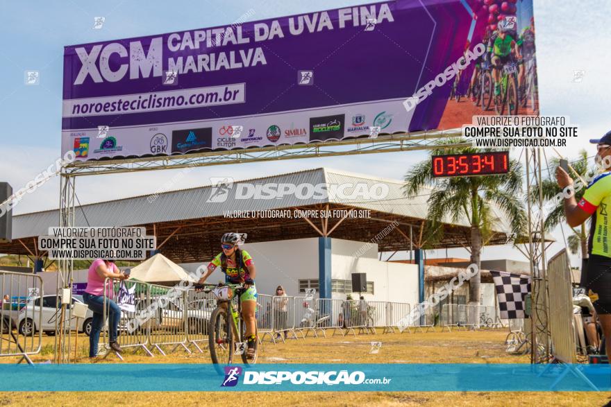 XCM Capital da Uva Fina Marialva 2021