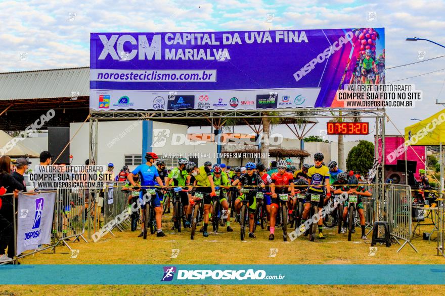 XCM Capital da Uva Fina Marialva 2021