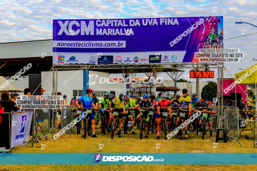 XCM Capital da Uva Fina Marialva 2021