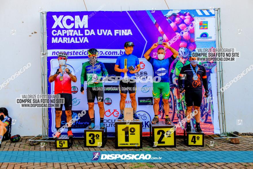 XCM Capital da Uva Fina Marialva 2021