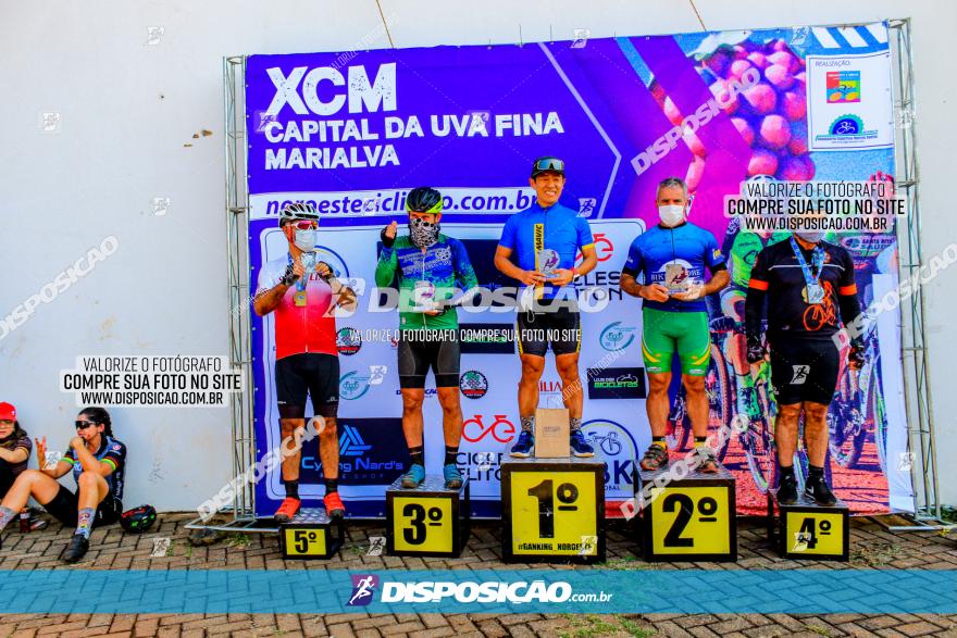 XCM Capital da Uva Fina Marialva 2021