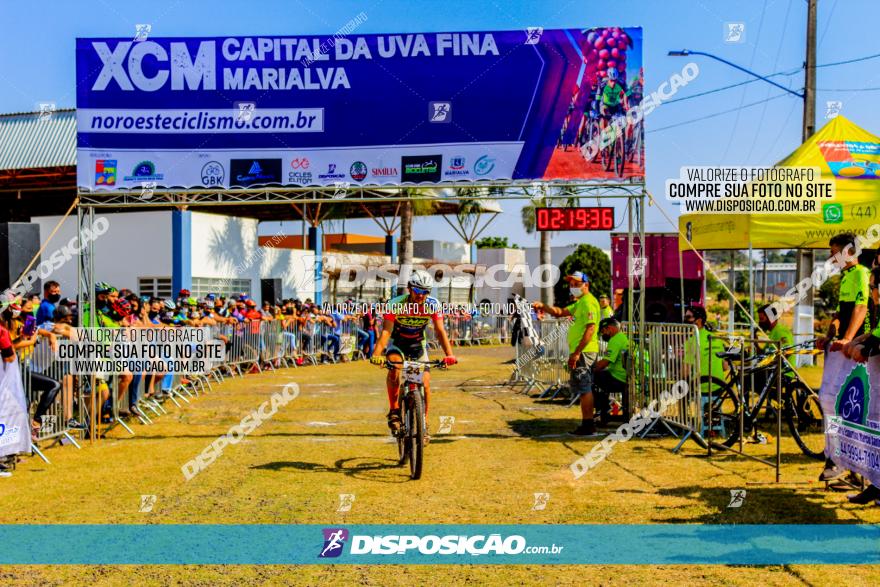 XCM Capital da Uva Fina Marialva 2021