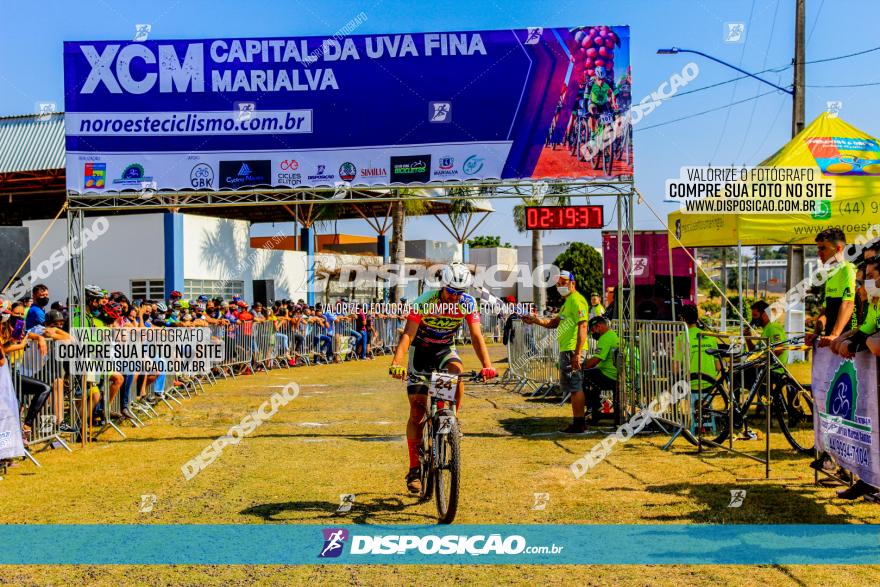 XCM Capital da Uva Fina Marialva 2021