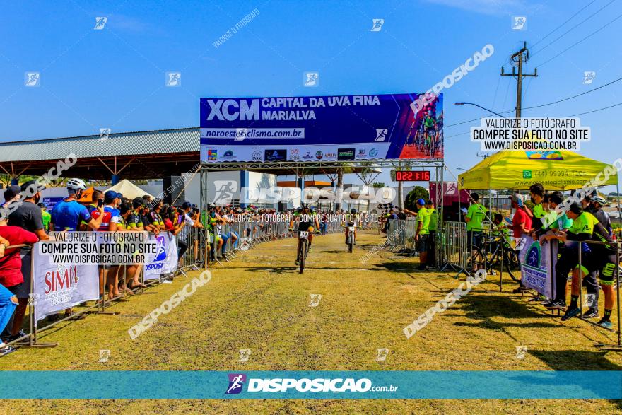 XCM Capital da Uva Fina Marialva 2021