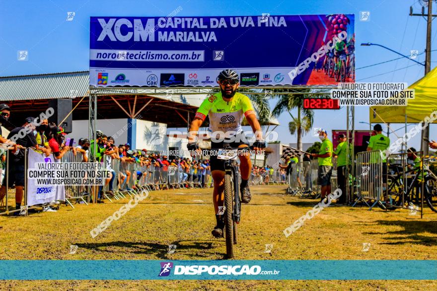 XCM Capital da Uva Fina Marialva 2021