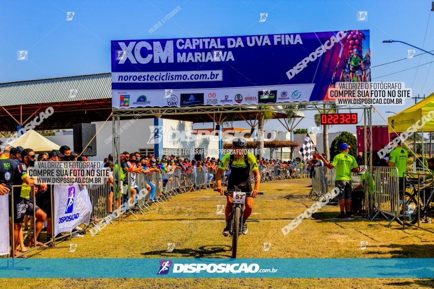 XCM Capital da Uva Fina Marialva 2021