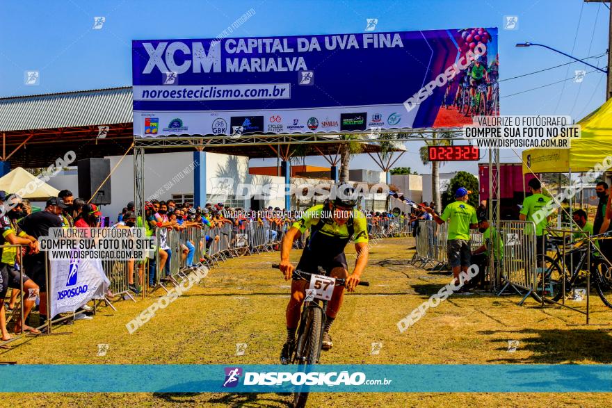 XCM Capital da Uva Fina Marialva 2021