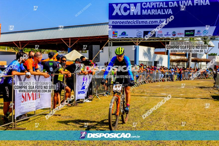 XCM Capital da Uva Fina Marialva 2021