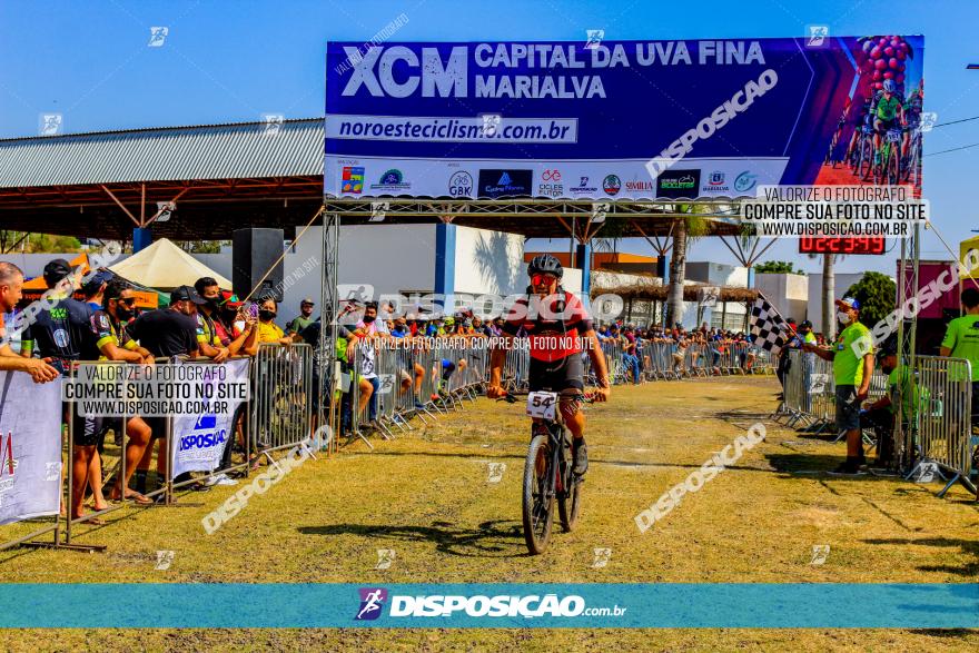 XCM Capital da Uva Fina Marialva 2021