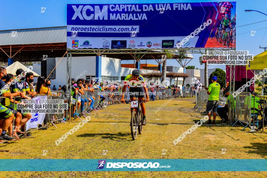 XCM Capital da Uva Fina Marialva 2021