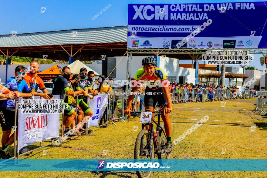 XCM Capital da Uva Fina Marialva 2021