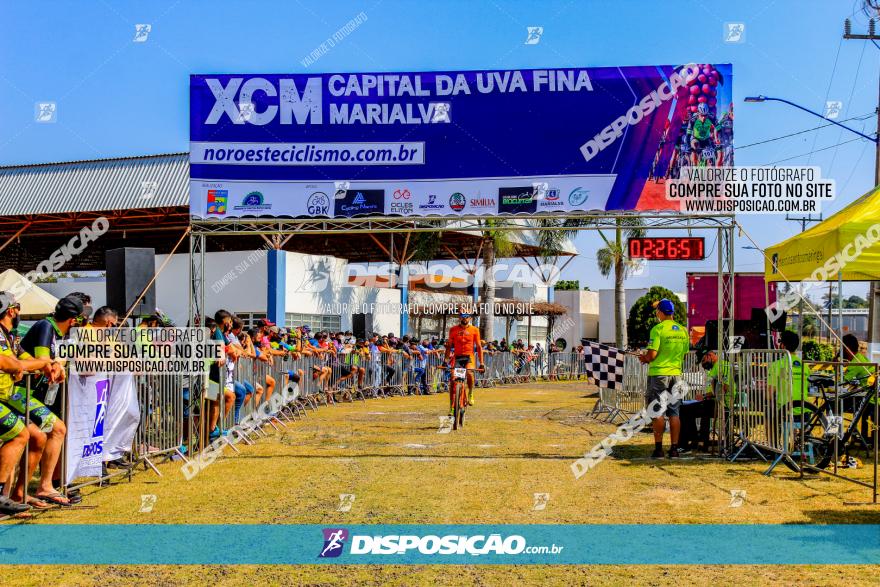 XCM Capital da Uva Fina Marialva 2021