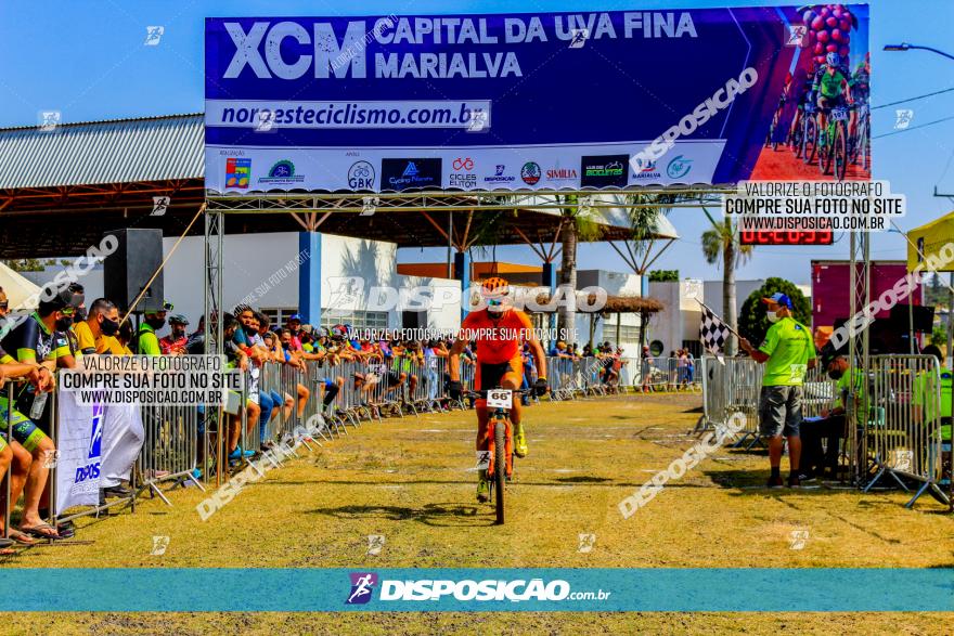 XCM Capital da Uva Fina Marialva 2021