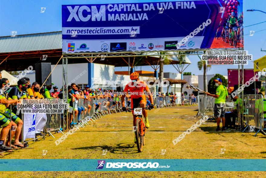 XCM Capital da Uva Fina Marialva 2021