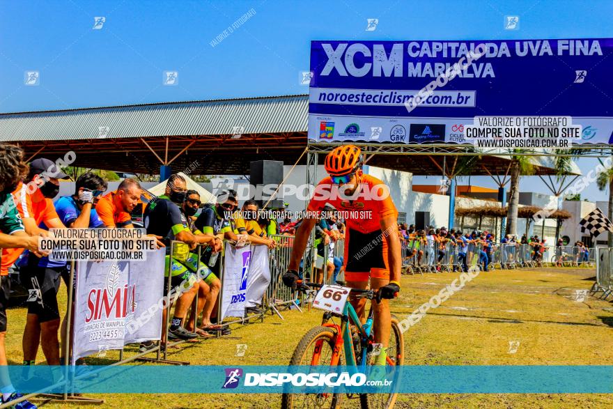 XCM Capital da Uva Fina Marialva 2021