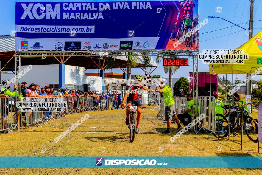 XCM Capital da Uva Fina Marialva 2021