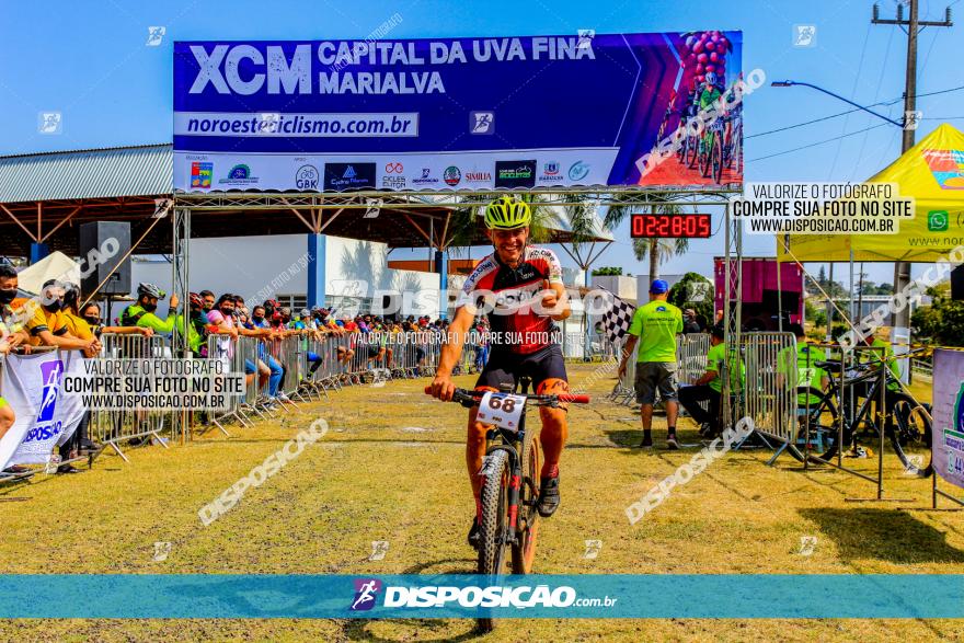 XCM Capital da Uva Fina Marialva 2021