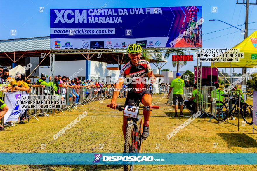 XCM Capital da Uva Fina Marialva 2021