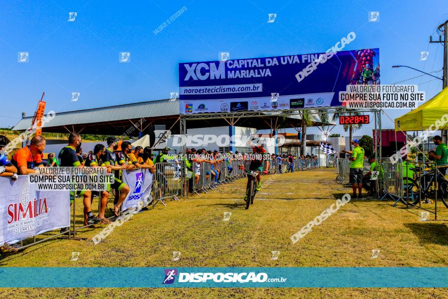 XCM Capital da Uva Fina Marialva 2021