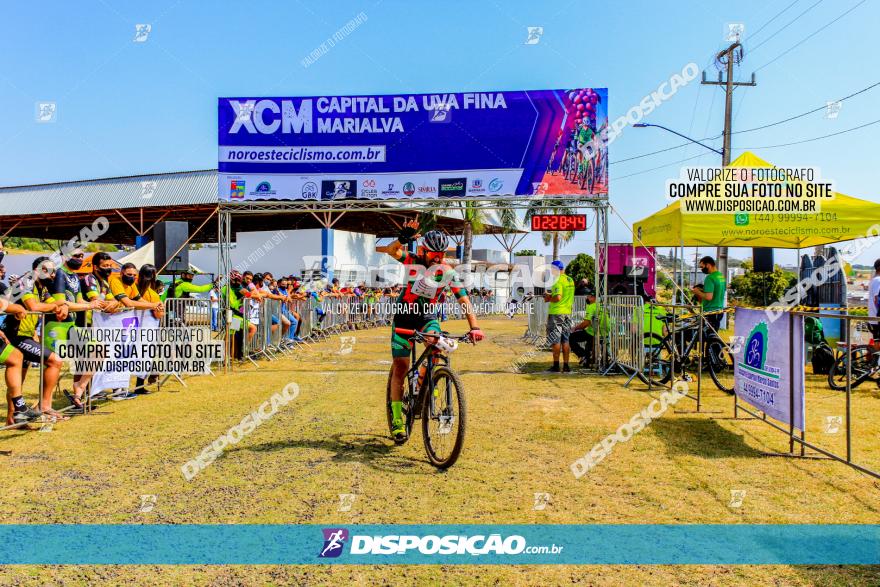 XCM Capital da Uva Fina Marialva 2021