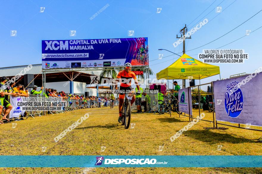 XCM Capital da Uva Fina Marialva 2021