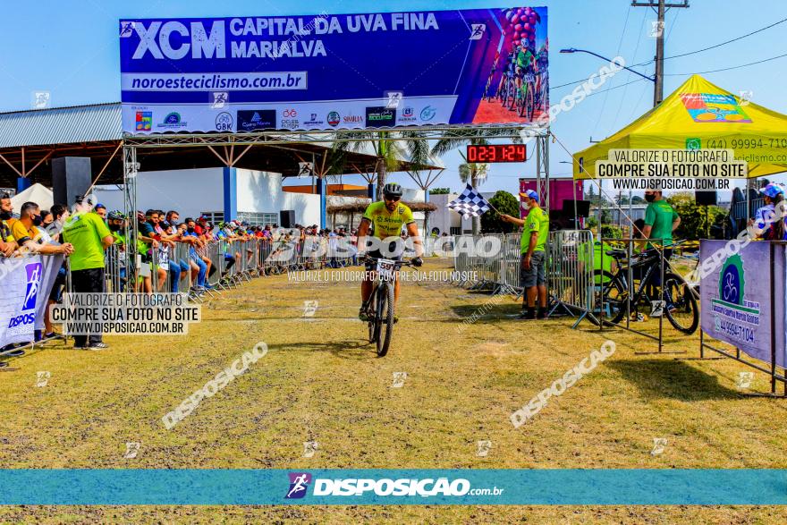 XCM Capital da Uva Fina Marialva 2021