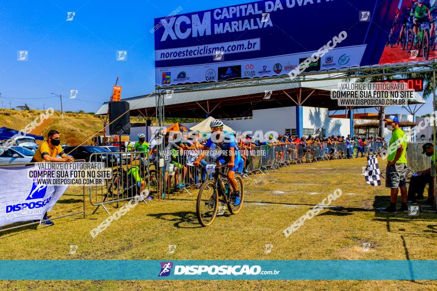 XCM Capital da Uva Fina Marialva 2021