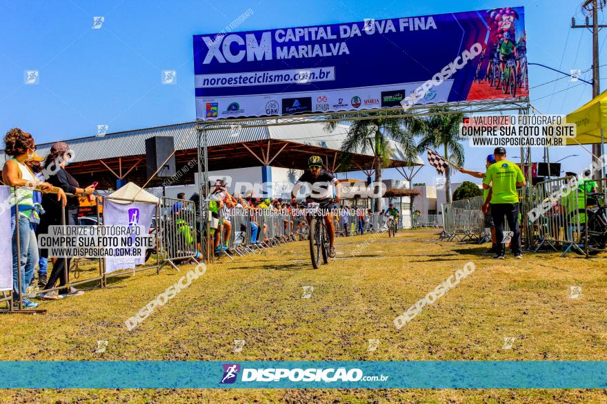 XCM Capital da Uva Fina Marialva 2021