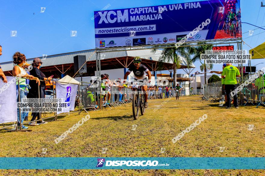 XCM Capital da Uva Fina Marialva 2021