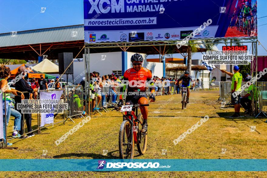 XCM Capital da Uva Fina Marialva 2021