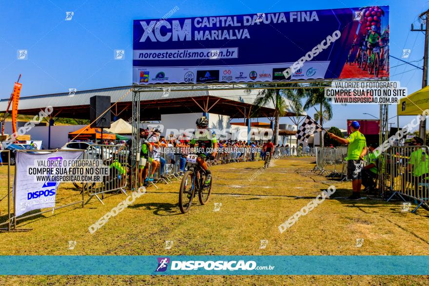 XCM Capital da Uva Fina Marialva 2021