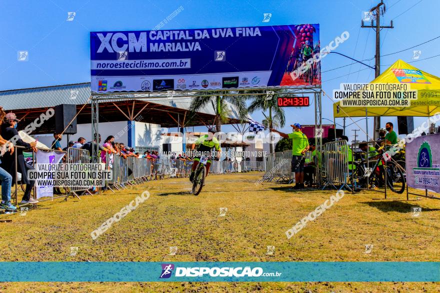 XCM Capital da Uva Fina Marialva 2021