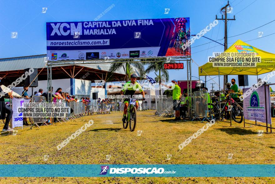 XCM Capital da Uva Fina Marialva 2021