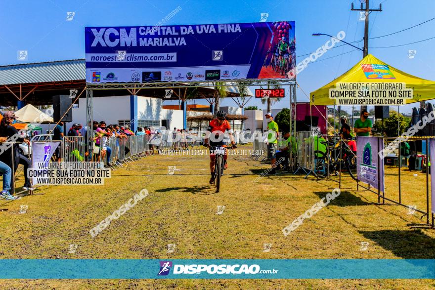 XCM Capital da Uva Fina Marialva 2021