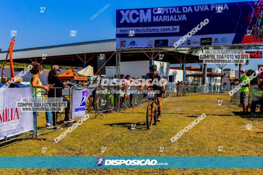 XCM Capital da Uva Fina Marialva 2021