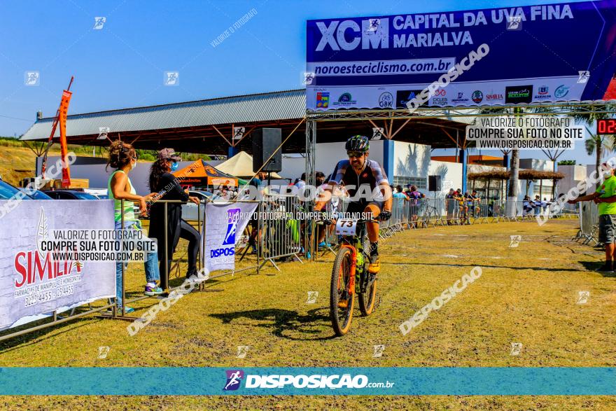 XCM Capital da Uva Fina Marialva 2021