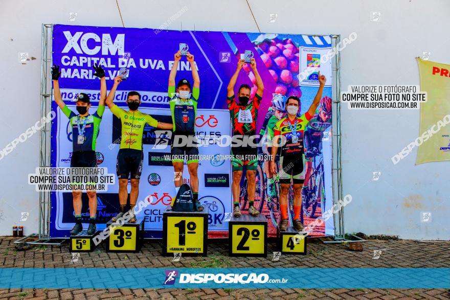 XCM Capital da Uva Fina Marialva 2021