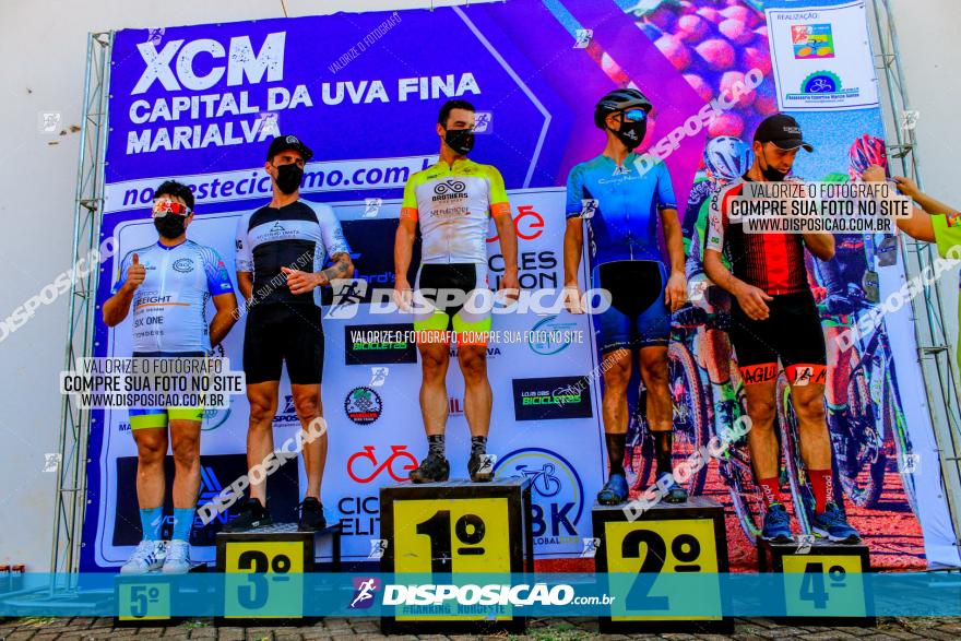 XCM Capital da Uva Fina Marialva 2021