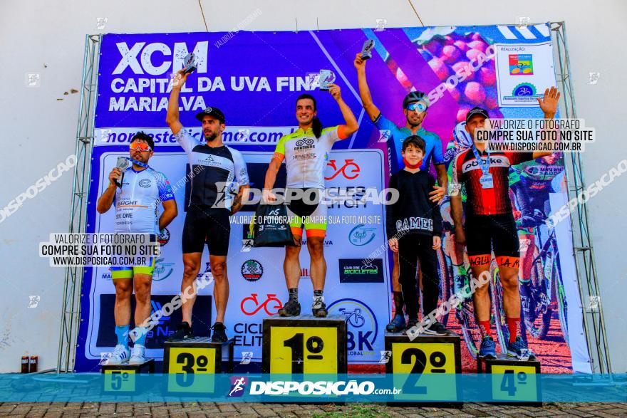 XCM Capital da Uva Fina Marialva 2021