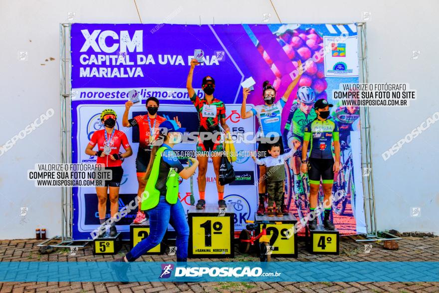 XCM Capital da Uva Fina Marialva 2021