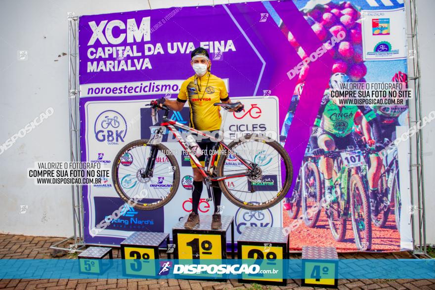 XCM Capital da Uva Fina Marialva 2021