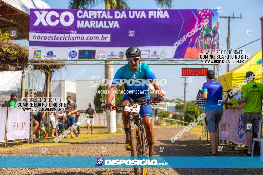 XCO Capital da Uva Fina Marialva 2021