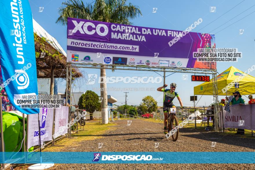 XCO Capital da Uva Fina Marialva 2021