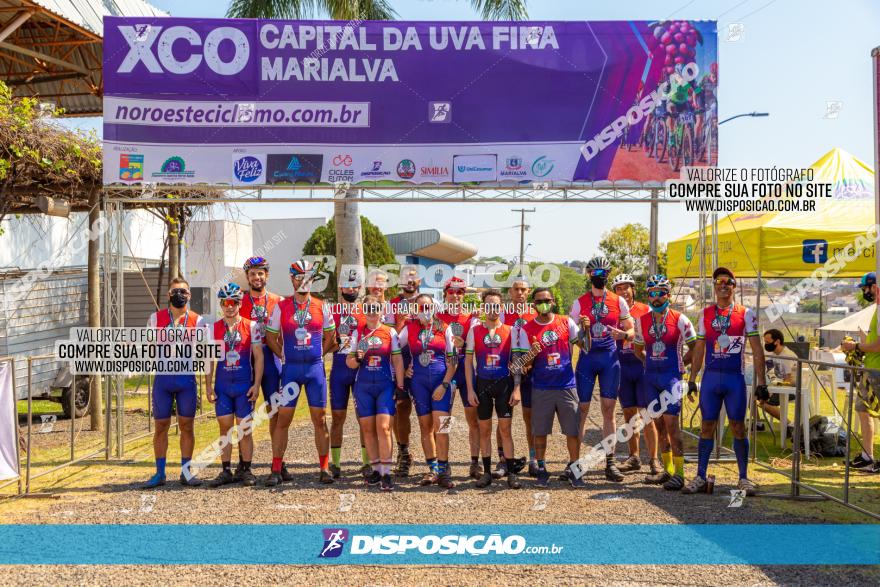 XCO Capital da Uva Fina Marialva 2021