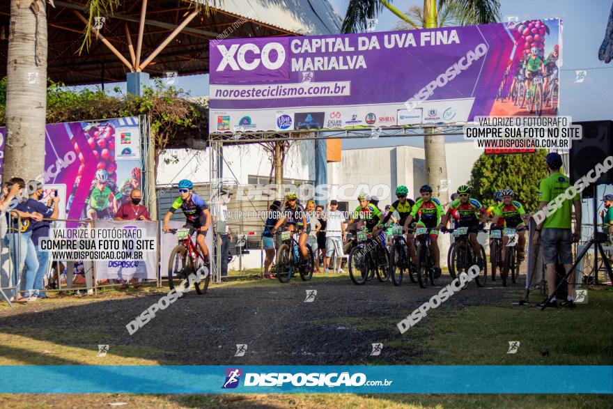 XCO Capital da Uva Fina Marialva 2021