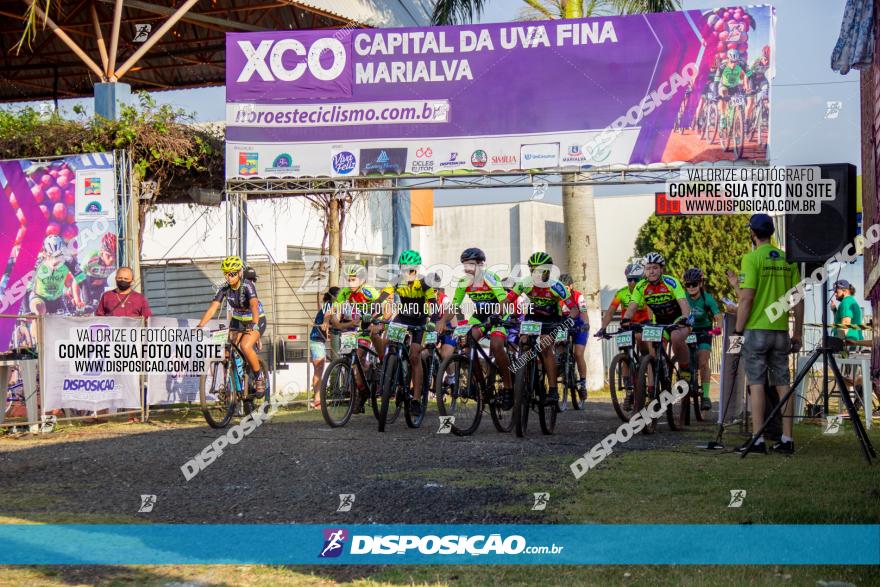 XCO Capital da Uva Fina Marialva 2021