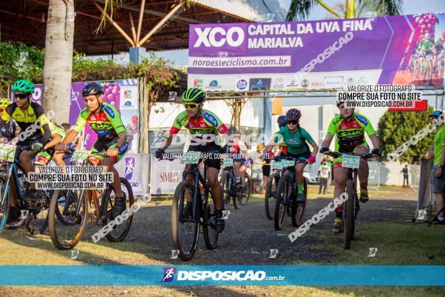 XCO Capital da Uva Fina Marialva 2021